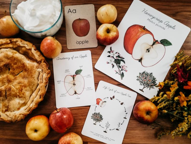Apple Study Unit with Johnny Appleseed, Pie, Counting, Weighing, Sweet vs Sour, Browning, Volcano & Stamping