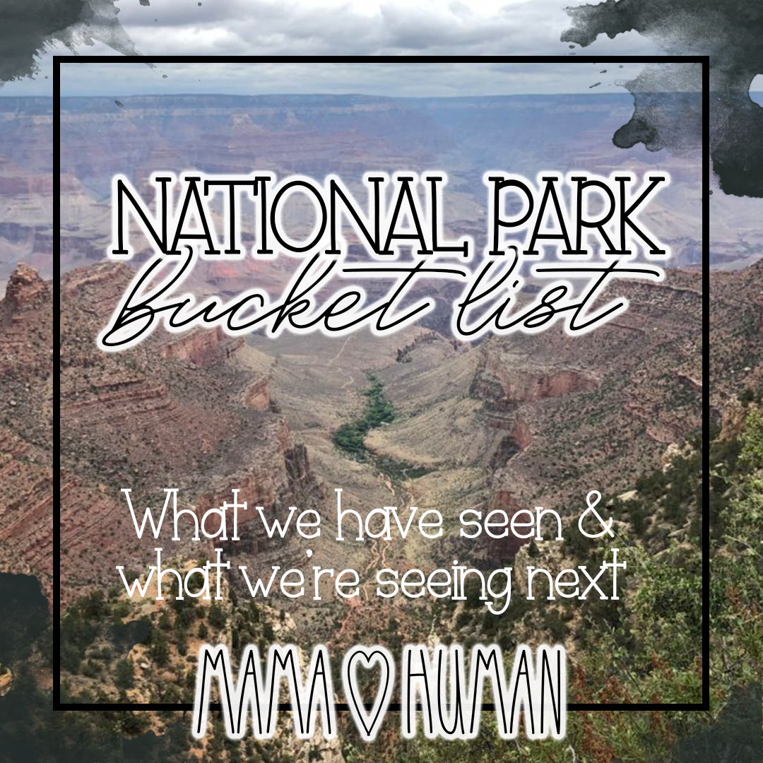 Our National Park Bucket List