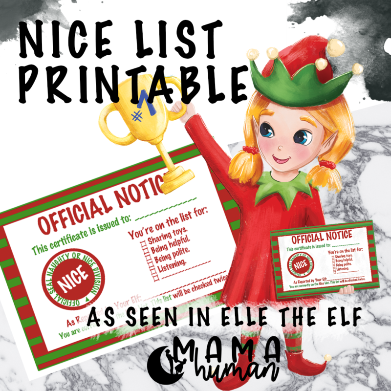 Elf on The Shelf Nice List Certificate