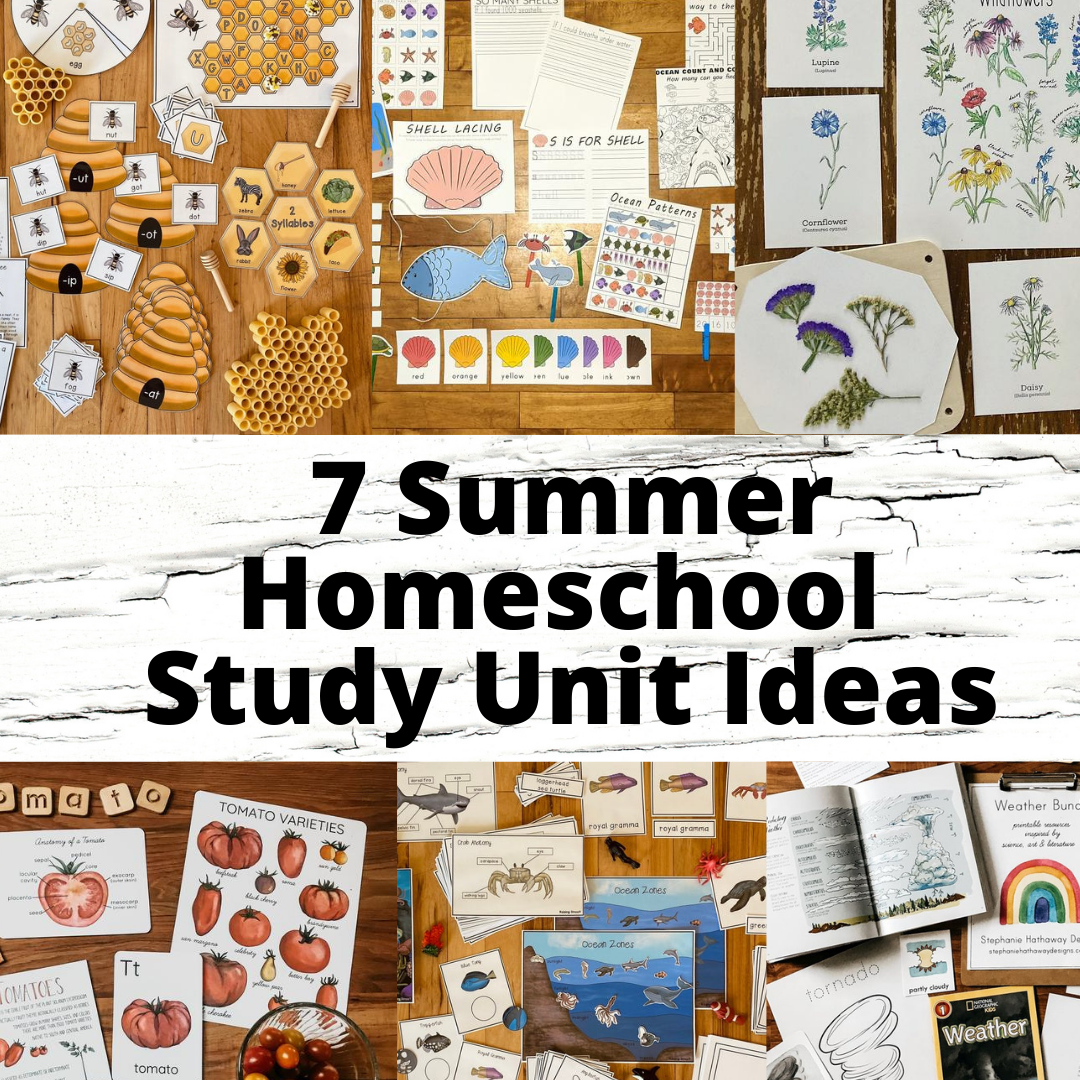 7 Summer Homeschool Study Unit Ideas