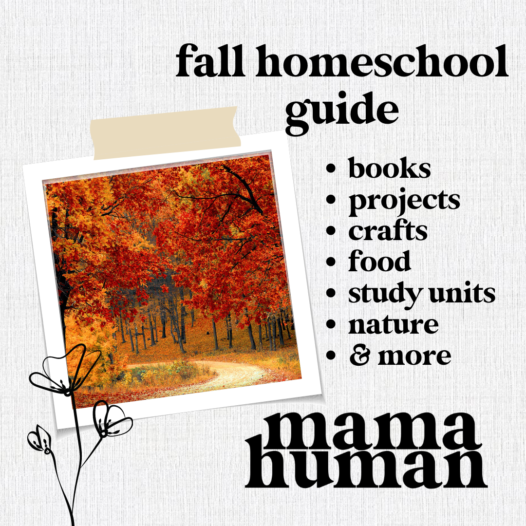 Homeschooling The Fall – Our Favorite Study Units, Crafts, Food, Science and More